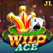 Wild Ace at bigwin casino
